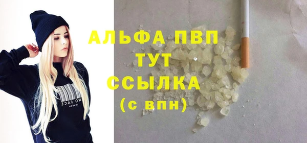 прущие грибы Кукмор