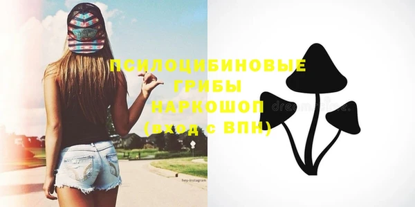 прущие грибы Кукмор