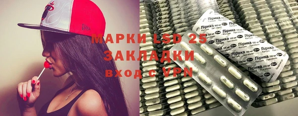 прущие грибы Кукмор