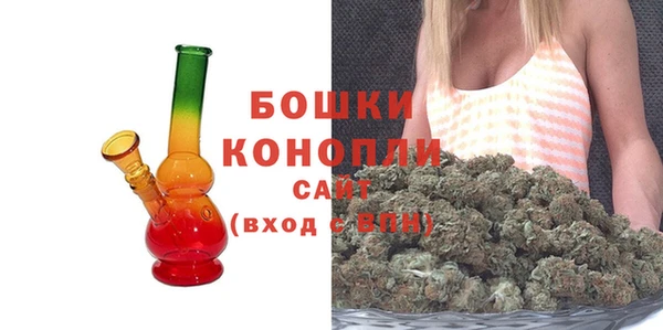 шишки Корсаков